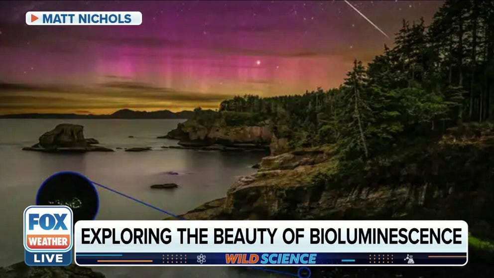 Nature photographer Matt Nichols joins FOX Weather Wild to discuss capturing the best natural light displays mother nature has to offer.