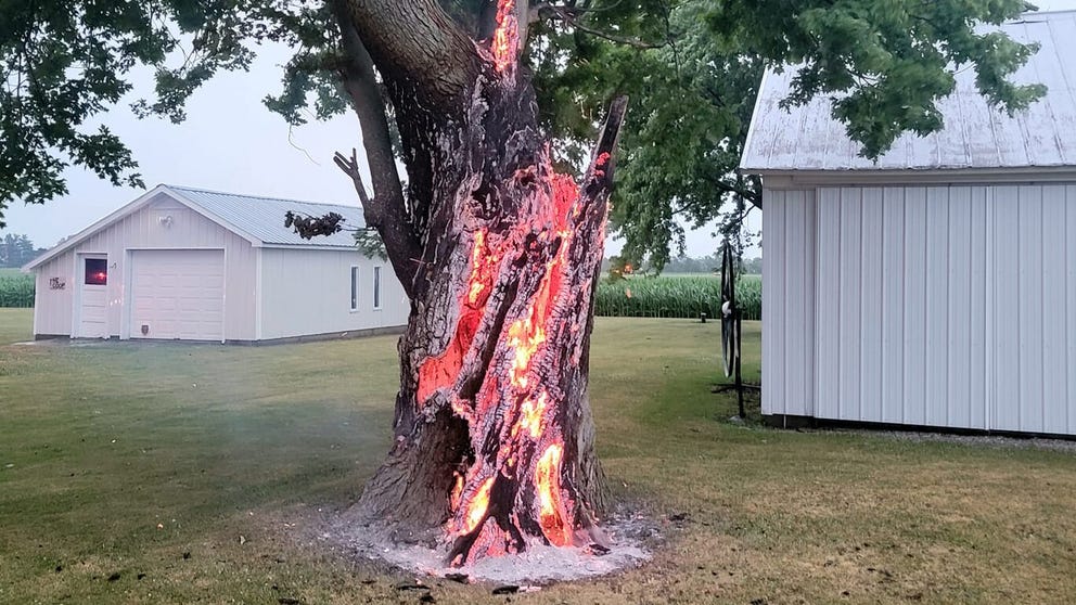 Lightning struck a tree in Ohio leaving a spiraling, smoldering scene when firefighters arrived.