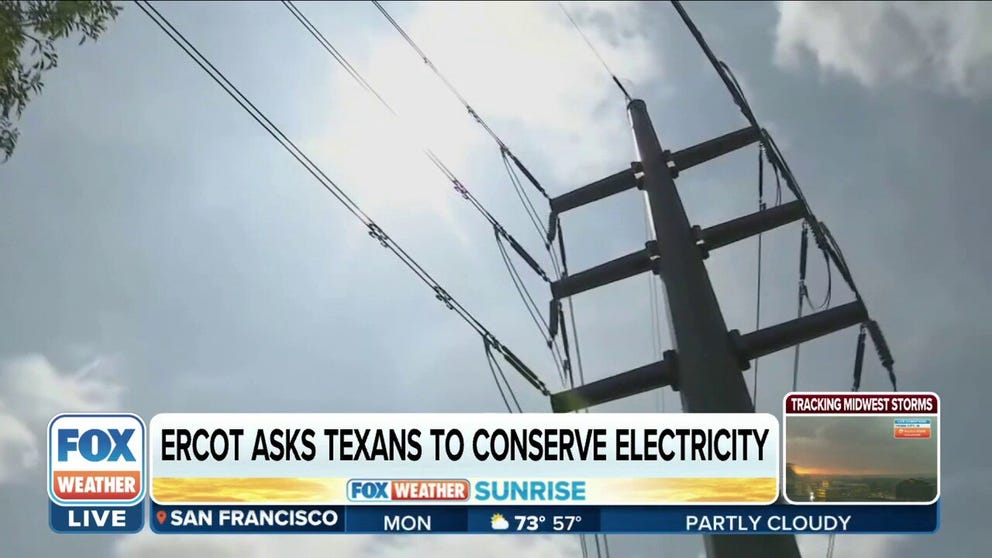 The company sent out an appeal to customers to voluntarily conserve electricity on Monday between 2-8 p.m.