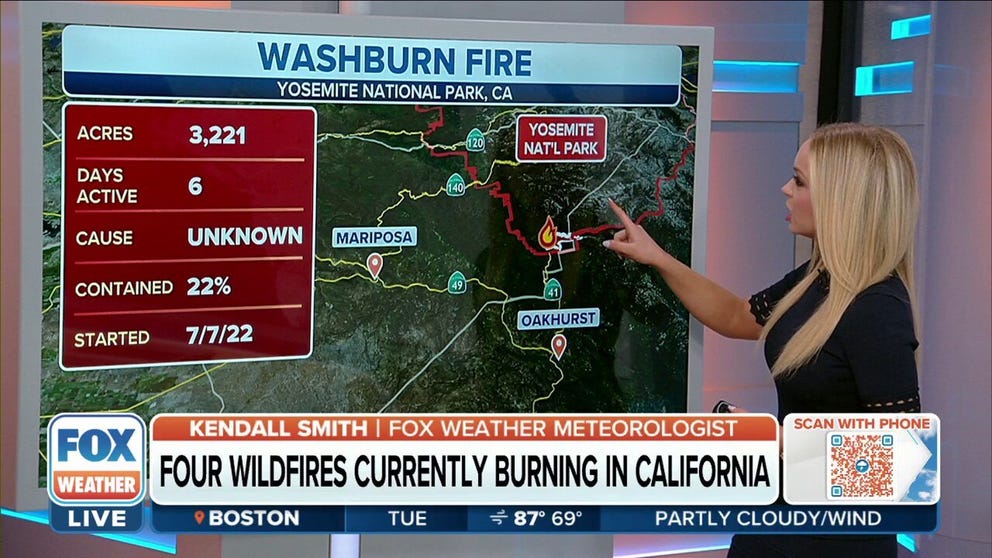 California firefighters gain ground in the battle against the Washburn Fire. As of Tuesday, the wildfire has burned at least 3,221 acres and is 22 percent contained. The blaze is threatening more than 500 sequoia trees. 