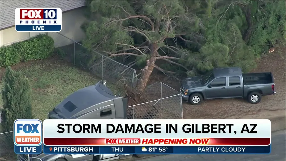 An overnight storm left extensive damage behind across Gilbert, Arizona. 