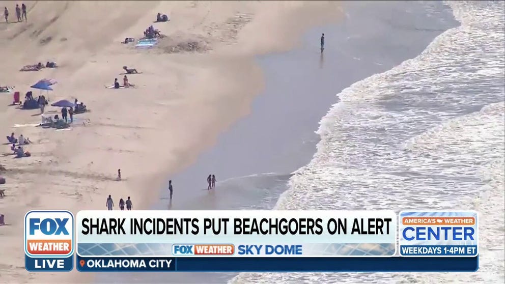 FOX News correspondent Alexis McAdams is on Long Island where several shark attacks have been reported in about two weeks.