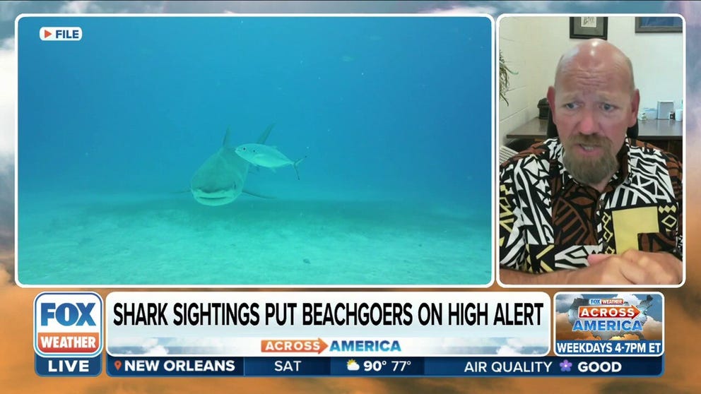 Professor Bradley Peterson with Stony Brook University says the uptick in shark sightings could be reflective of a healthy ecosystem. 