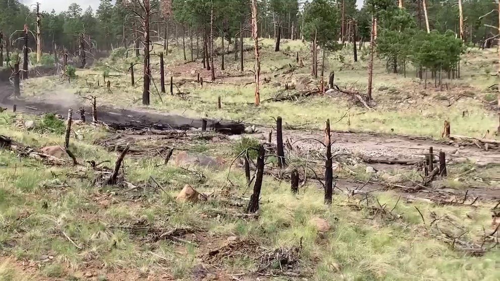 An Arizona Game & Fish officer caught video of water surging down the Pipeline Fire burn Scar near Flagstaff on Thursday