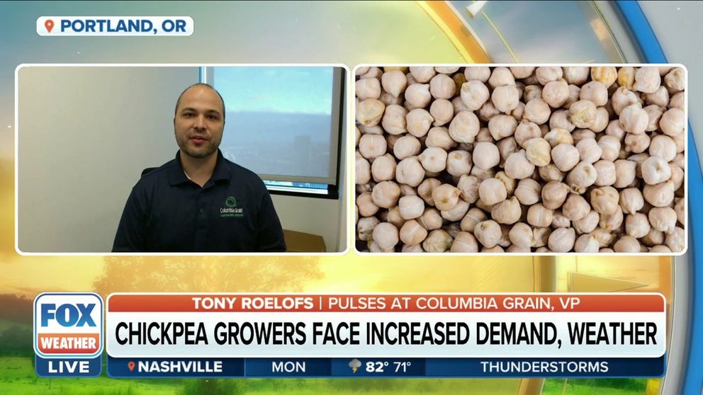 Tony Roelofs, Vice President of Pulses at Columbia Grain, discusses how extreme weather conditions are having an impact on chickpea crops and how that could threaten to increase prices.
