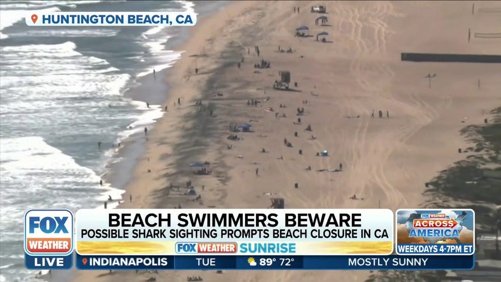 Officials shut down a portion of the coast in Huntington Beach after a reported shark sighting Monday. 
