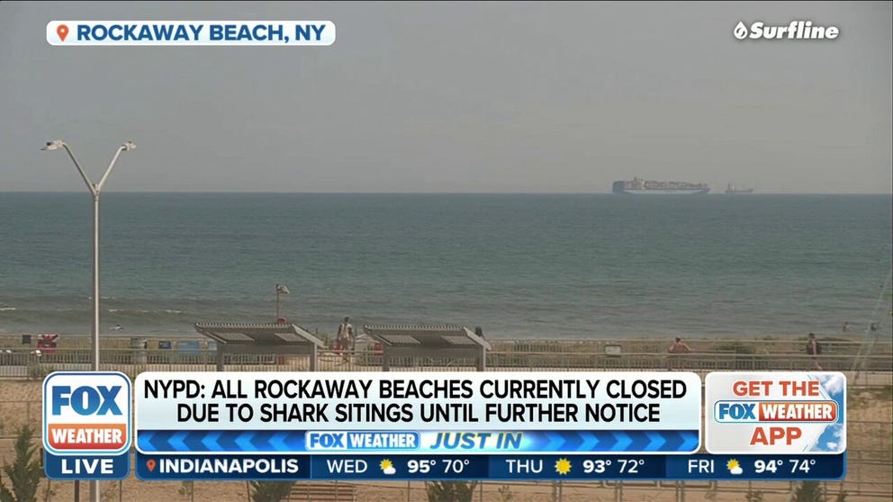 The NYPD reports that all Rockaway beaches have been closed until further notice as a result of shark sightings. 