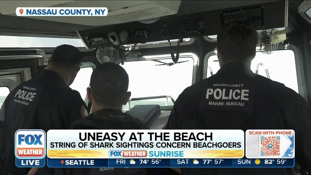 Sharks have been sighted up and down the New York and New Jersey shore lines, Katie Byrne has tips for staying safe on your beach trips.