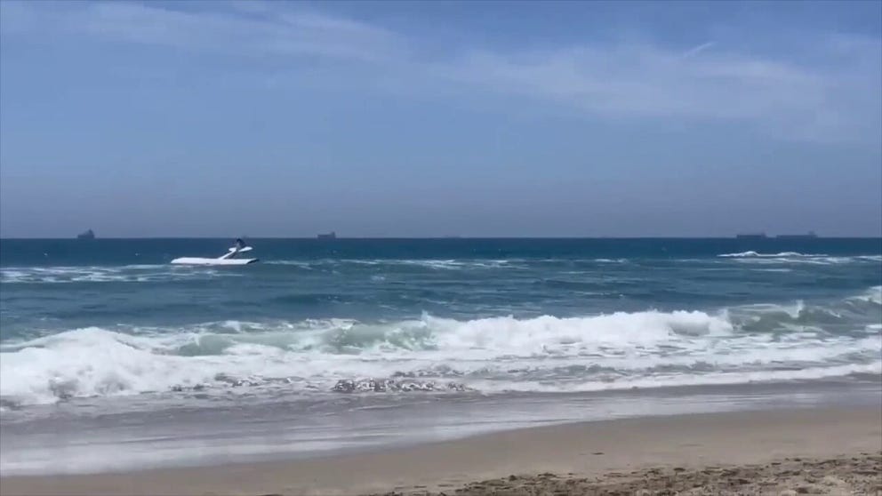 A beachgoer witnessed a small plane crashing along the coast of California