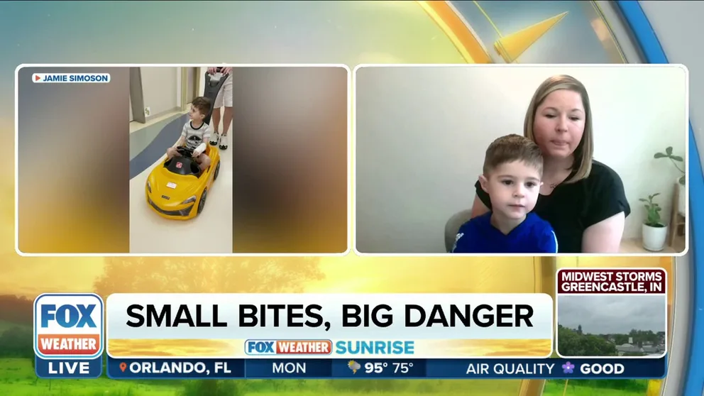 3-year-old Jonny Simoson, of Pennsylvania, contracted Powassan virus from a tick bite in June. His mother joined FOX Weather Sunrise to help describe what happened next.