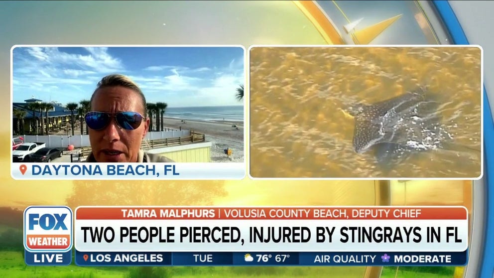 Tamra Malphurs, Deputy Chief of Volusia County Beach Safety Ocean Rescue, provides tips on how people can avoid getting pierced by a stingray. 