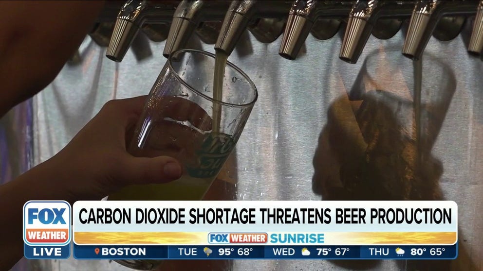 Bad news for beer drinkers. A carbon dioxide shortage is causing problems for brewers. It's a key ingredient to make beer, and without it, some breweries are stopping production. Fox News multimedia reporter Rebekah Castor reports. 