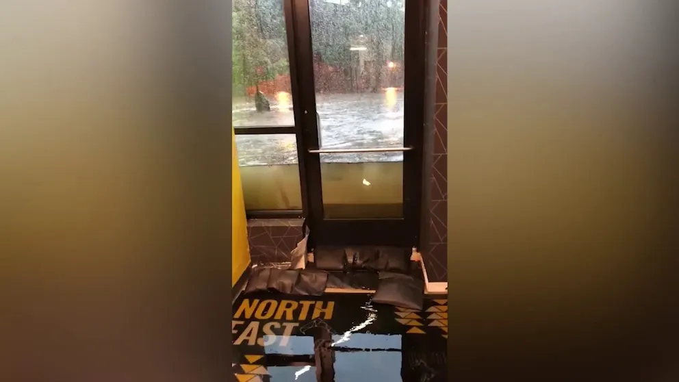 Floodwaters reached halfway up a dog daycare's doors during Wednesday's heavy rain