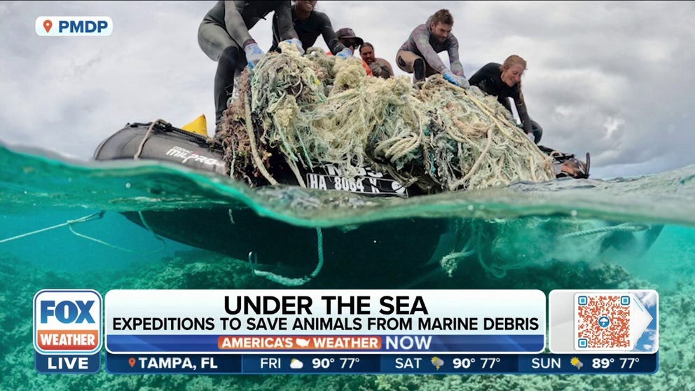 Papahānaumokuākea Marine Debris Project President Kevin O’Brien tells America’s Weather NOW how his organization strives to keep sea life safe. 