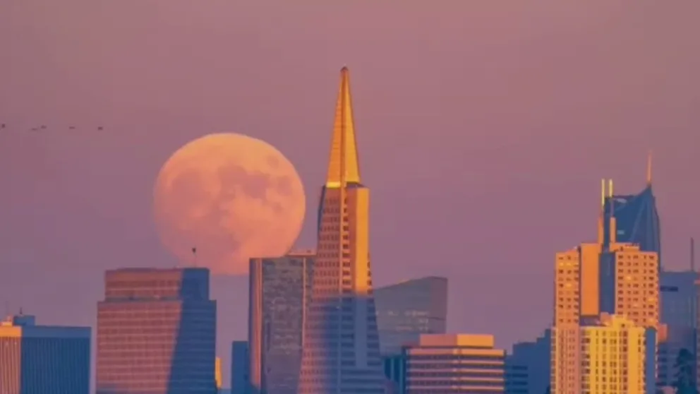 Footage captures the stunning moments the last supermoon of 2022 rose over San Francisco, California on Thursday night. (Video: Shreenivasan Manievannan via Storyful)