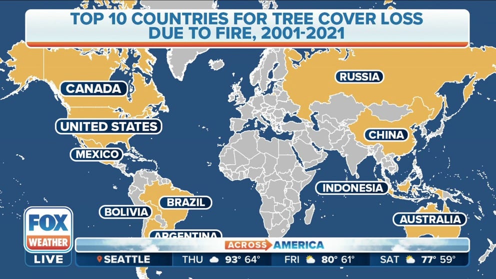 Global Forest Watch research analyst James McCarthy tells FOX Weather that tree cover loss impacts wildlife and increases the risk of flooding after wildfires spread through an area. 