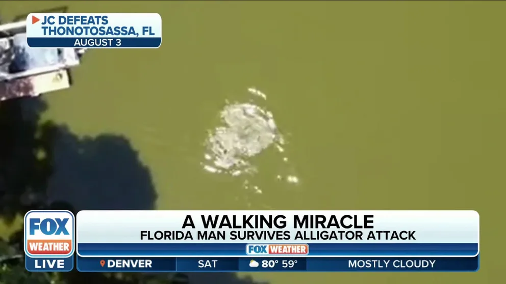 JC Defeats, Florida resident who survived an alligator attack, recalls the scary encounter on FOX Weather. 