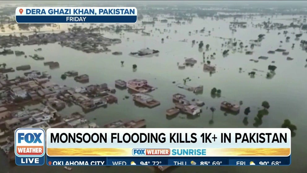 As ravaging floods displace more than 3.1 million people and take the lives of 1,000 and counting, relief efforts continue to mount across Pakistan. Jenelle Eli, with International Federation of Red Cross and Red Crescent Societies (IFRC), joined FOX Weather to talk more about those relief efforts. 