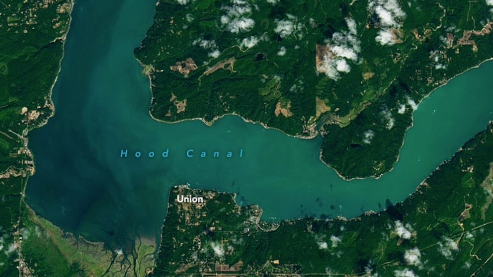 A late summer algae bloom has made the water a gorgeous color of turquoise in Washington's Hood Canal that is visible from space!