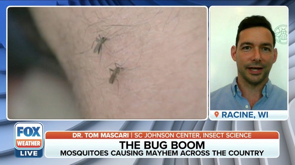 SC Johnson Center for Insect Science Entomologist Dr. Tom Mascari says the combination of the right humidity, rainfall, and precipitation causes an increase in insect populations.  