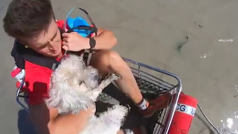 US Coast Guard saves dog, two people who were stranded around Sanibel, Florida in the wake of Hurricane Ian.