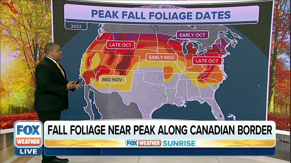 Fall foliage is near peak along the Canadian border. FOX Weather's Jason Frazer details when we can expect to see fall foliage peak across the country. 