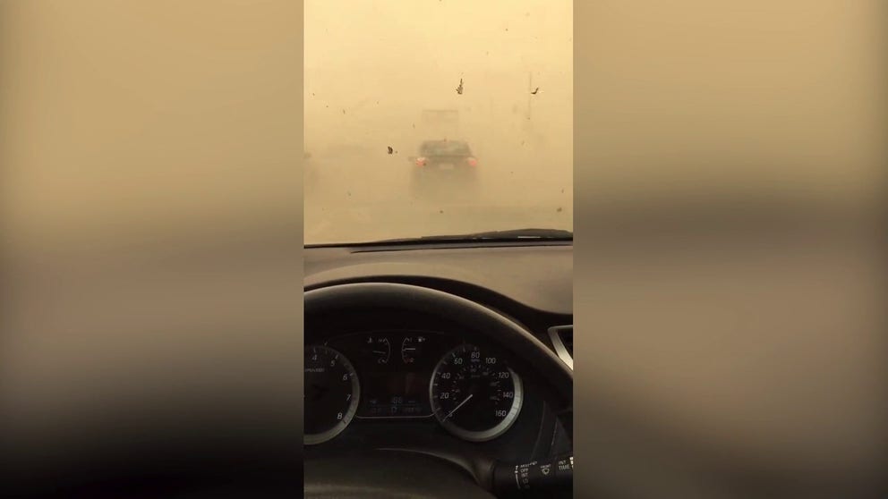 Video shows the dramatic scene of a California driver getting caught in a dust storm near the Mexico border. 