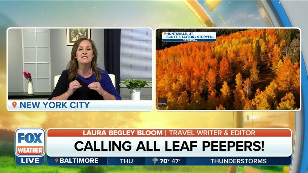 Fall is an amazing time to travel. Many destinations are far less crowded than the summer months and there are tons of deals to be had. Travel expert Laura Begley Bloom shared some great fall travel ideas and money saving tips. 
