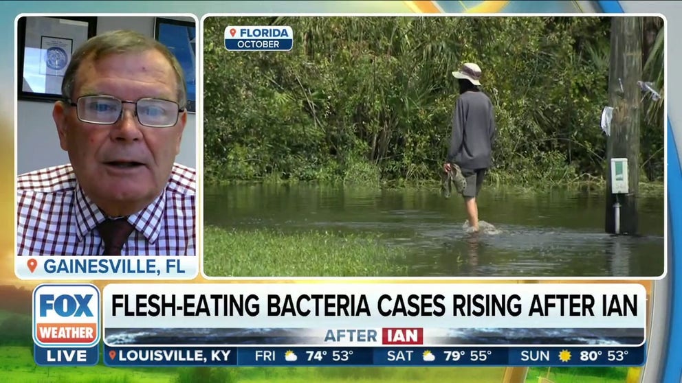 Paul Gulig, University of Florida Professor of Molecular Genetics and Microbiology, discusses the flesh-eating bacteria in Florida waters following Hurricane Ian. 