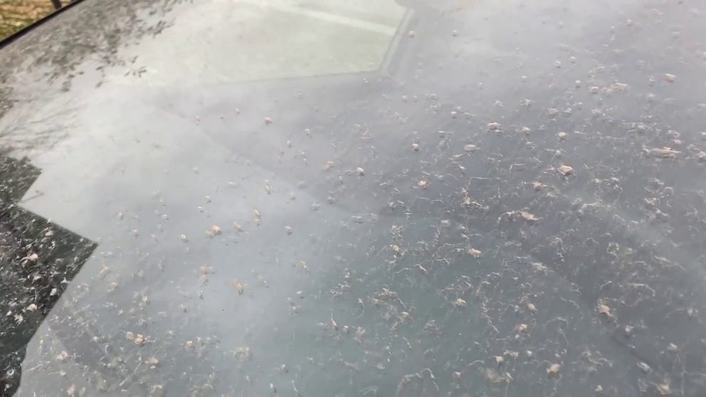 Dust from drought-stricken areas of the United States found its way to Minnesota. This dust became mud as it mixed with the rain that fell overnight, leaving mud caked on people's cars across the Twin Cities metro.