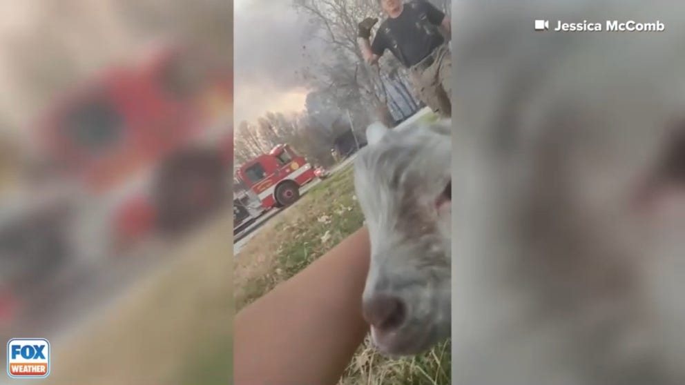 A mid-Missouri family displaced by a massive brush fire that destroyed about half of the rural community of Wooldridge is mourning the loss of their family dog, who ultimately brought a sign of peace and comfort after the fire took everything they owned.