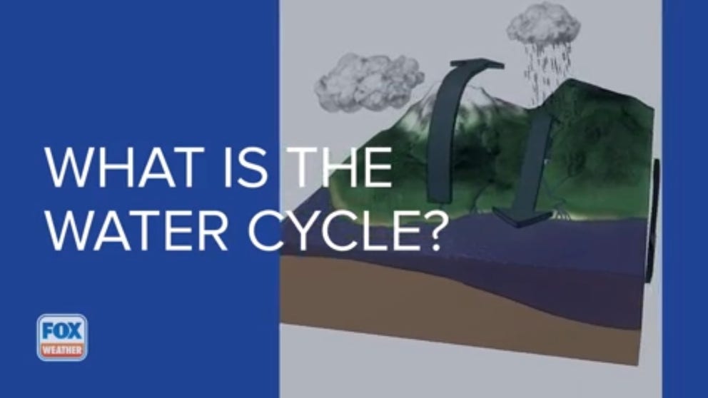 Water is among the most precious resources on our planet. The water cycle depicts where water is stored and how it moves.