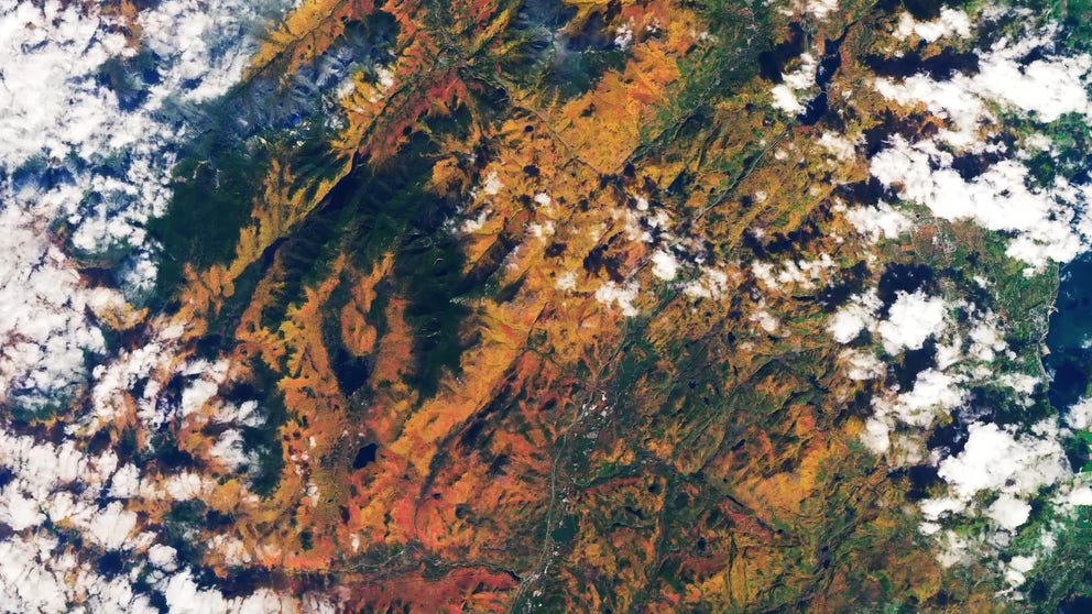 Some areas of the planet are so enriched with deciduous trees that their colorful displays are easily spotted by satellites.