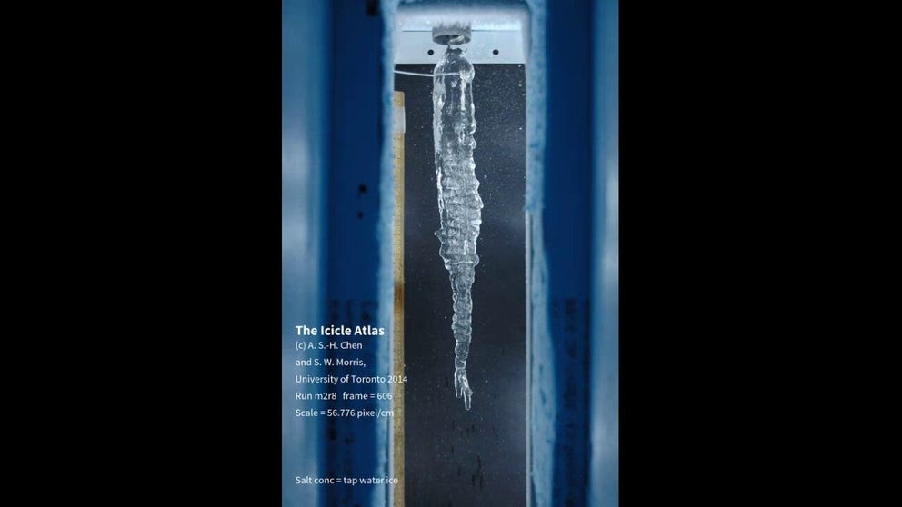 Morris made an icicle from Toronto tap water in his lab. The ripples appear to move up because the ice growth is on top of each ripple. Courtesy: The Icicle Atlas