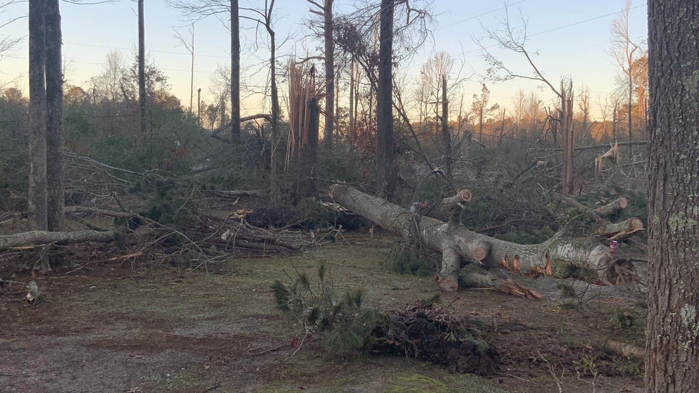 In Keithville, Louisiana, an EF-2 tornado with winds estimated at 130 mph managed to decimate homes around Linda Barry as she huddled under a mattress, reciting the Lord’s Prayer for comfort.

