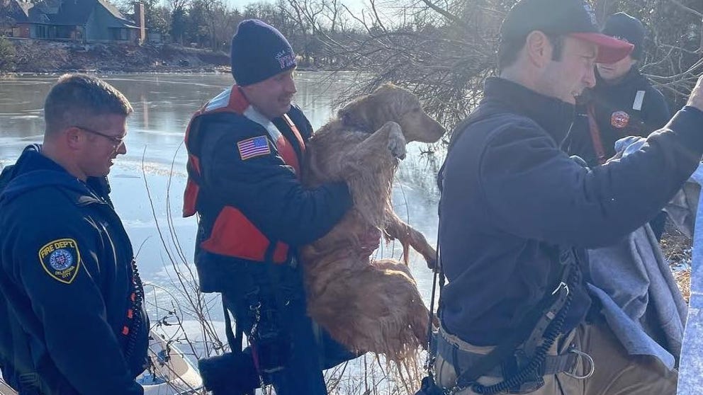 Firefighters used a paddle boat to retrieve the dog from the icy waters. (Oklahoma City Fire Department via Storyful)