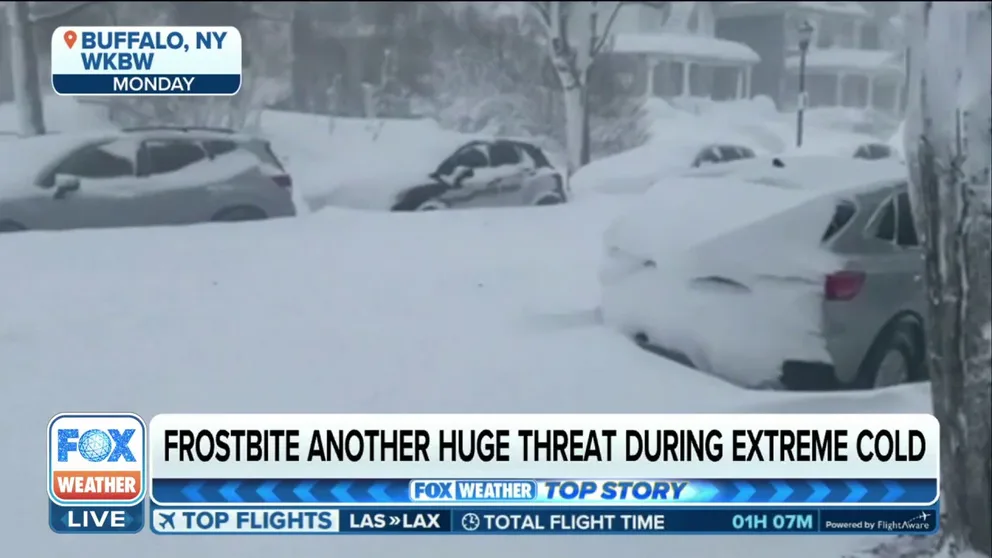 FOX News medical contributor Dr. Janette Nesheiwat discusses the symptoms of hypothermia and frostbite and how one should act if exposed to extreme cold for a long period. (Video from December 2022)