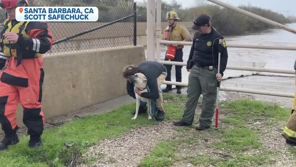 Santa Barbara County firefighters plucked two dogs out of a creek in Goleta, California. This last deadly storm in the parade of Pineapple Express-fueled storms dropped 4 inches of rain. That is a quarter of what the area normally sees over the year in just days.