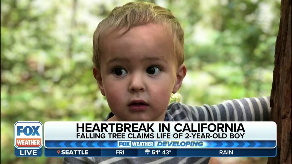 The family of a 2-year-old boy from Sonoma County, California was overwhelmed with grief after a redwood tree collapsed on their home during Wednesday's storm, killing the boy.