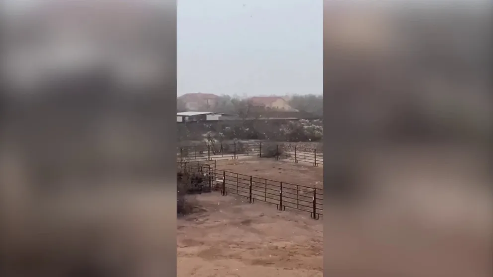 A brief snow shower brought some excitement to sheep grazing in the outskirts of Tucson on Monday. (Video courtesy: @allophile_/WEATHER TRAKER /TMX) 