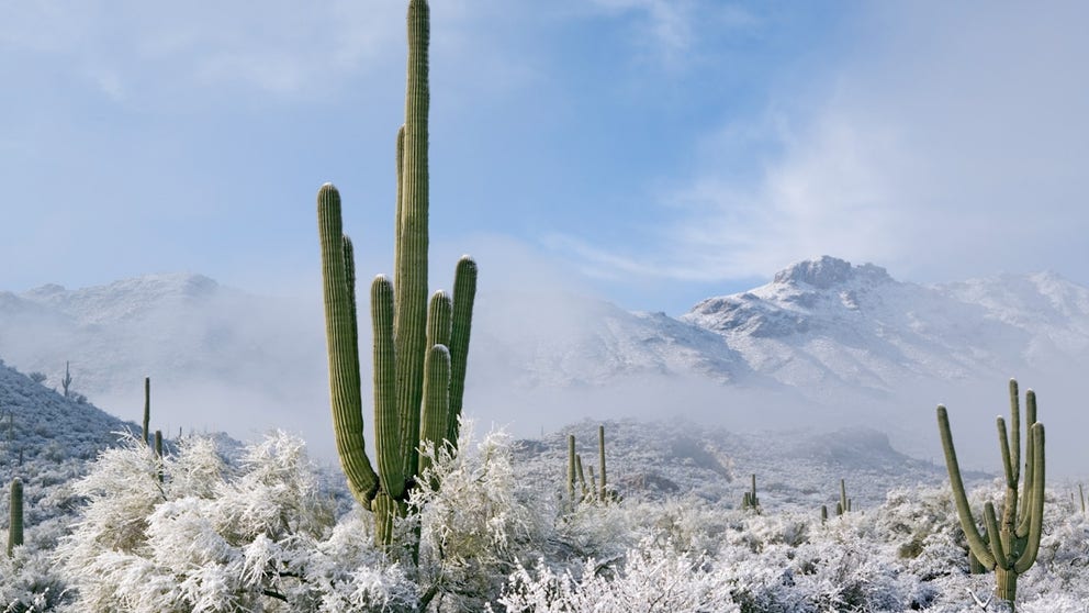 It might seem impossible for some of America’s hottest cities to get snow, but it has happened before. Los Angeles, San Francisco, Las Vegas, Tucson, and New Orleans have all seen measurable snow within the last century.