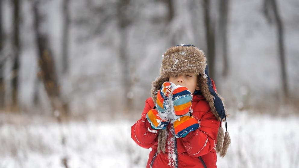 It is generally safe to eat snow if you do so in moderation and take a few precautions.
