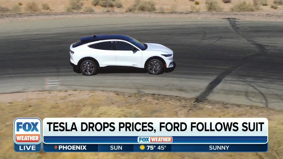 The electric vehicle market is heating up as more and more manufacturers get into the EV craze. Executive editor of Kelley Blue Book Brian Moody joined FOX Weather on Sunday to explain why electric vehicle manufacturers slashing their prices will benefit consumers.