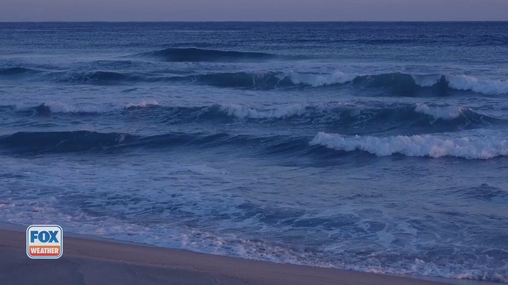 A Florida man found a bottle along a beach with messages inside.