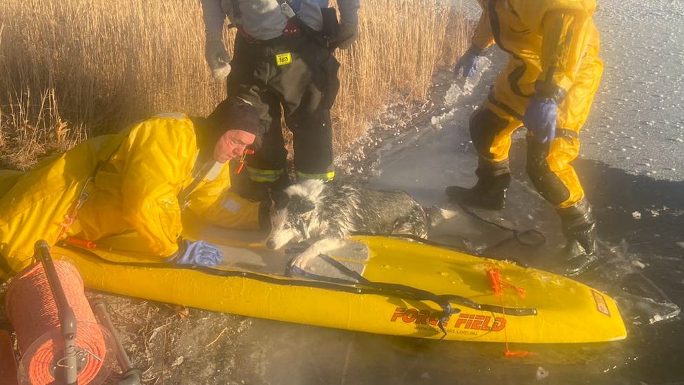 First responders used a rescue board to venture out on the ice to retrieve 