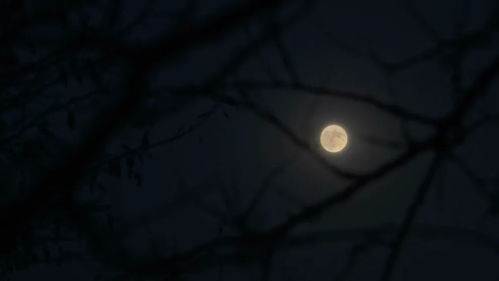 Each full moon of the year has its own nickname.