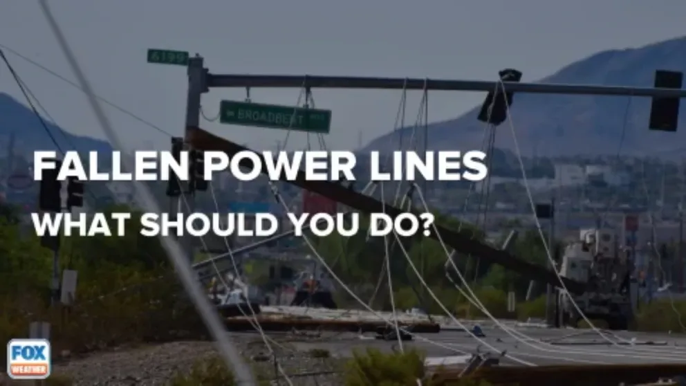 What You Should Do If You Encounter A Downed Power Line | Fox Weather