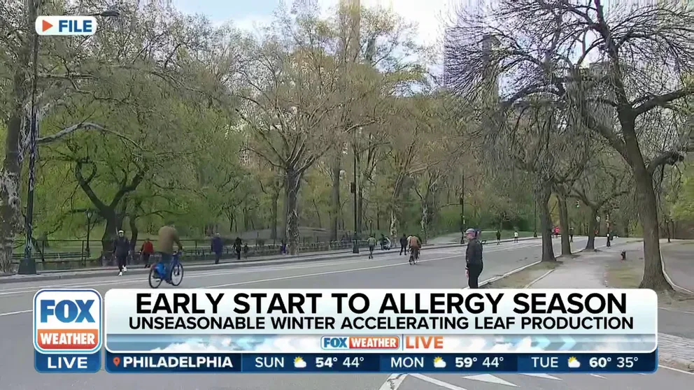A warm winter is leading to an early allergy season. An allergist and immunologist tells FOX Weather that this has been a year over year trend leading not only to a longer allergy season but a more intense one.