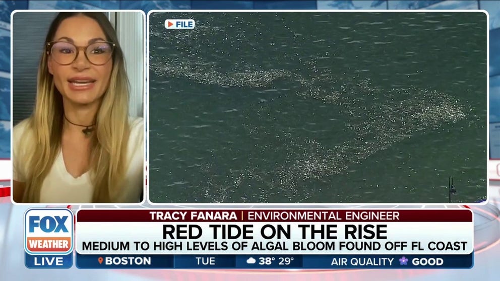 Red Tide Tracker: Florida Beaches Face Red Tide Threat As Travelers ...