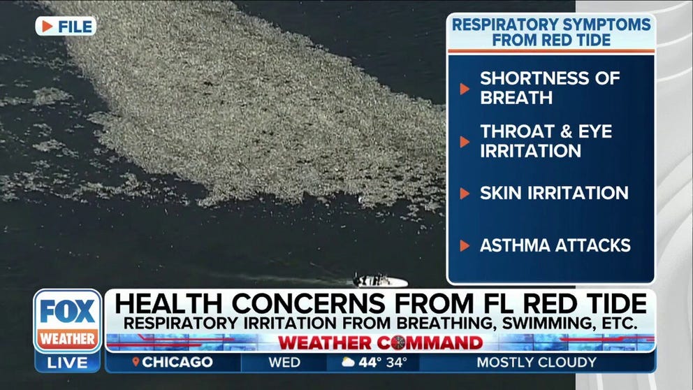 Lee Health’s Chief Medical Officer Dr. Iahn Gonsenhauser discusses the health impacts that red tide has and its impact on pets as well. 
